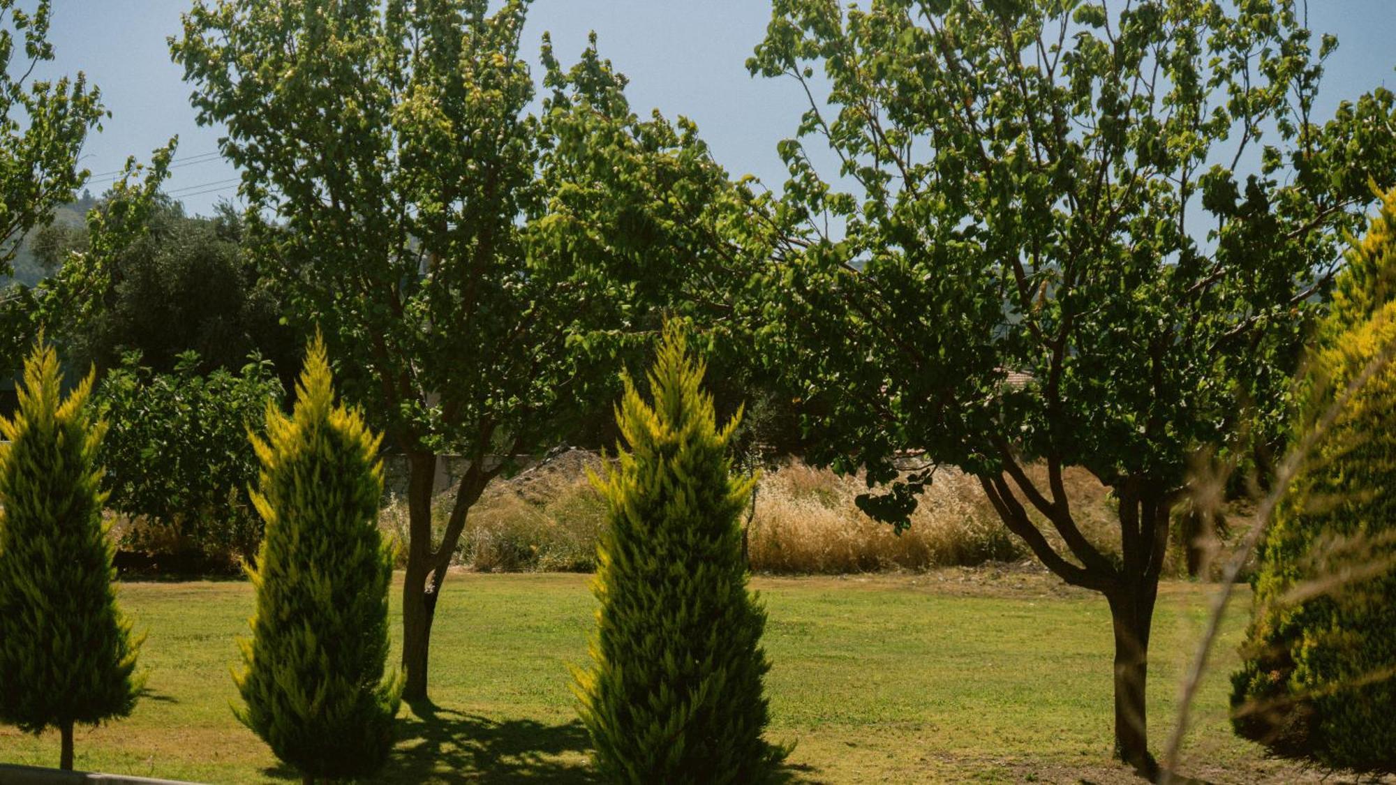 Vela Garden Resort Çeşme Kültér fotó
